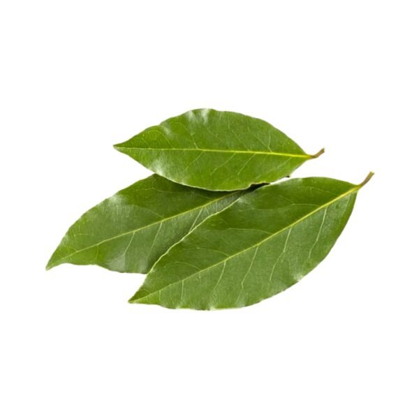Bay Laurel Hydrosol